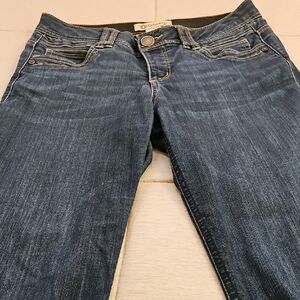Democracy Dark Blue Skinny Jeans